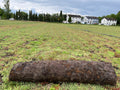 Sedum Vegetationsmatte für PV/Gründach