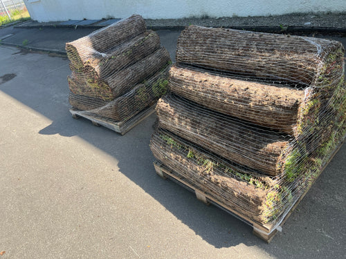 Sedum Vegetationsmatte für PV/Gründach